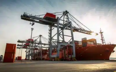 Avanza el acuerdo Mercosur–Emiratos Árabes: nuevas puertas para las exportaciones regionales