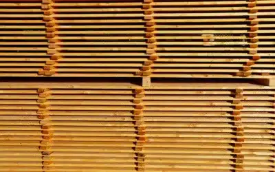 Paraguay impulsa su presencia en los mercados forestales internacionales