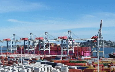 Exportaciones industriales en Uruguay: caída puntual, balance positivo